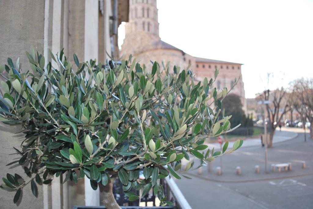 Comfort Double Room,67226971:JPEG